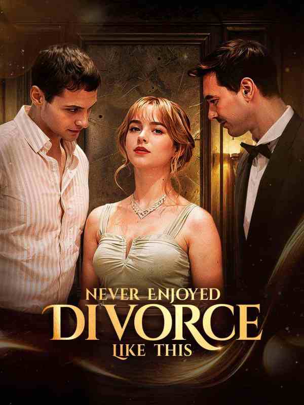 Cartel de Never Enjoyed Divorce Like This